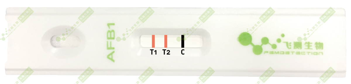  雙T線定量檢測技術