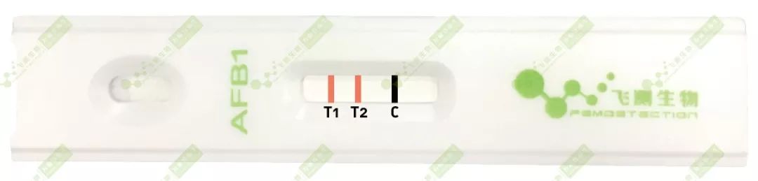 雙T線(xiàn)定量檢測(cè)技術(shù)