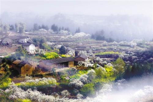 田園風(fēng)光 田園風(fēng)光