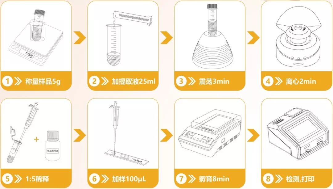 花生黃曲霉毒素檢測流程圖 花生黃曲霉毒素檢測流程圖