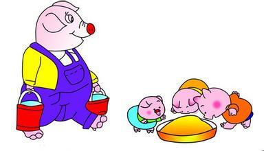 養(yǎng)豬飼料 養(yǎng)豬飼料