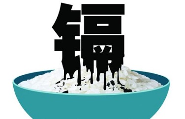 大米鎘超標(biāo) 大米鎘超標(biāo)