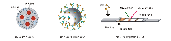 六六六熒光定量快速檢測(cè)卡/試紙條 六六六熒光定量快速檢測(cè)卡/試紙條
