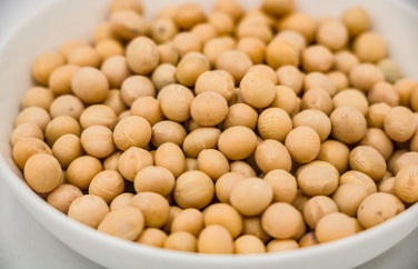 黃曲霉毒素 黃曲霉毒素