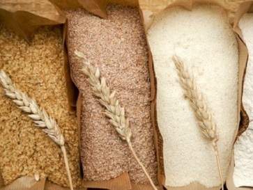 小麥嘔吐毒素 小麥嘔吐毒素